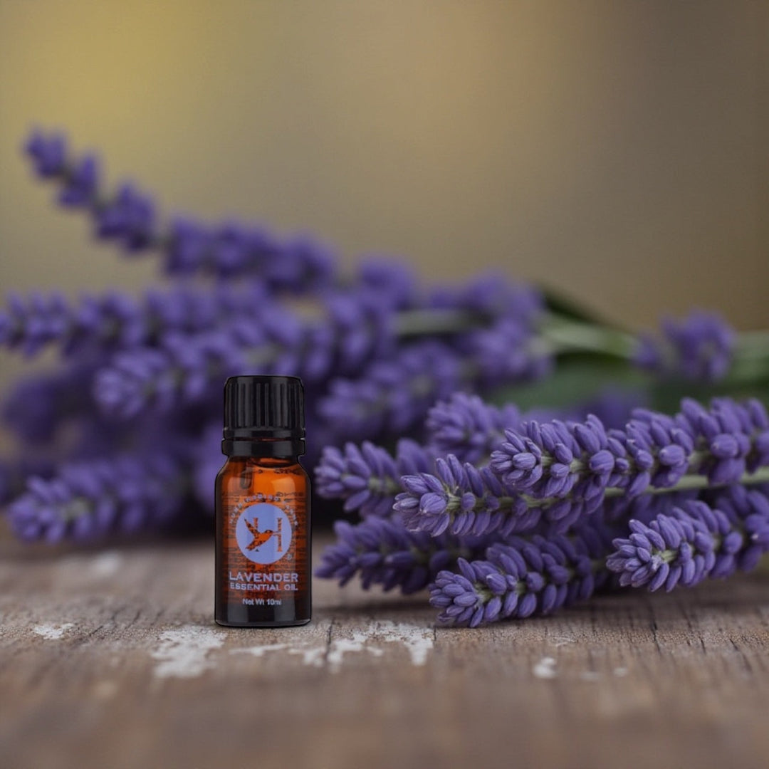 Essential Oil of Lavender