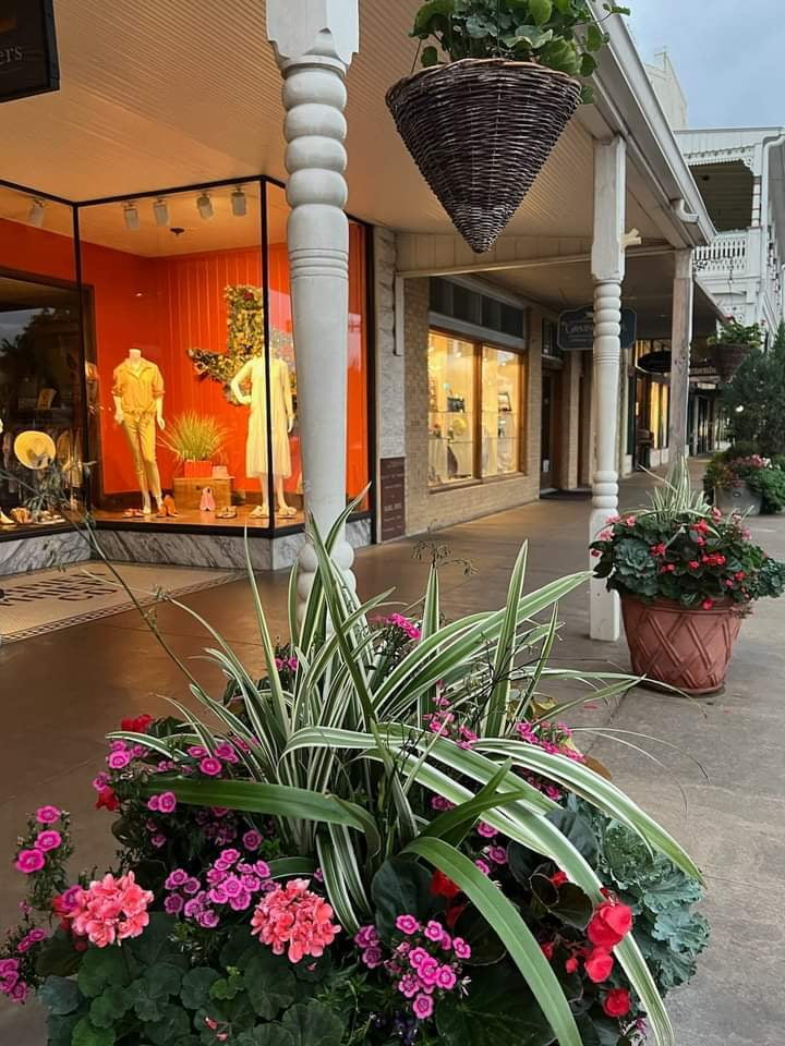 Downtown Fredericksburg sidewalk with vibrant pink flower planters and storefront windows.