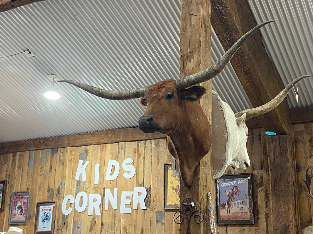 RED LONGHORN MOUNT