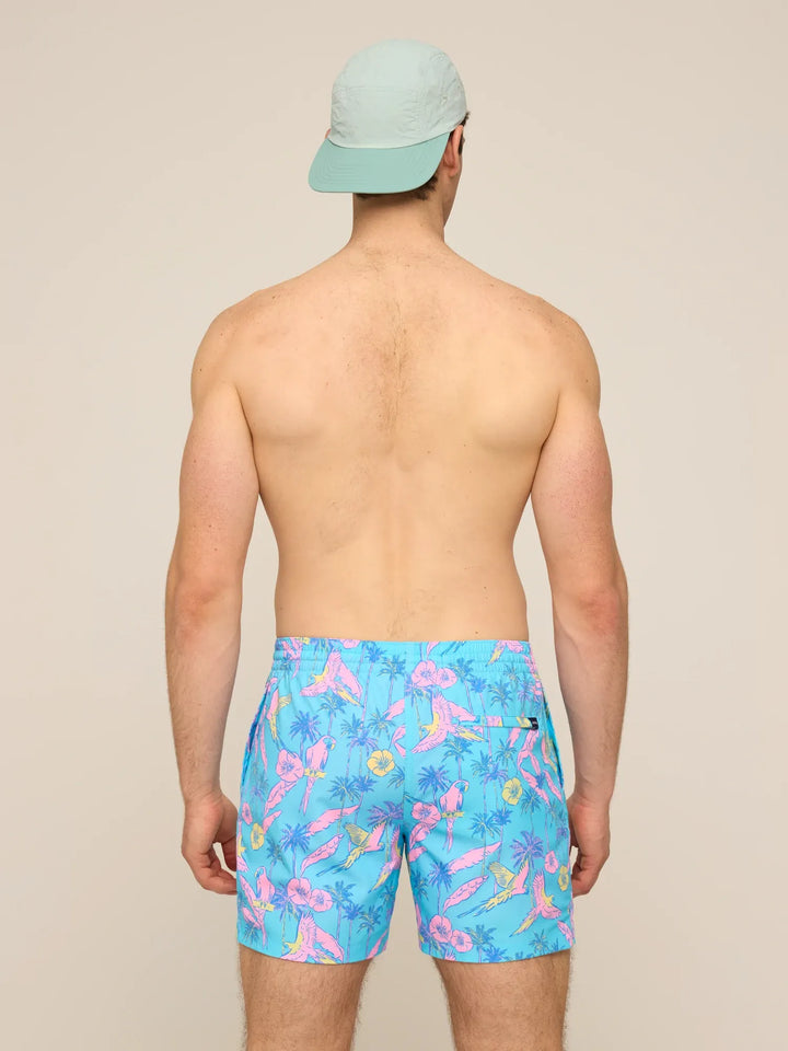 A man seen from behind wearing a light blue cap and Zertz THE FLOCK PARTIES 5.5" CLASSIC LINED SWIM TRUNK, featuring a vibrant tropical print with pink flamingos and green palm leaves, stands against a plain beige background.