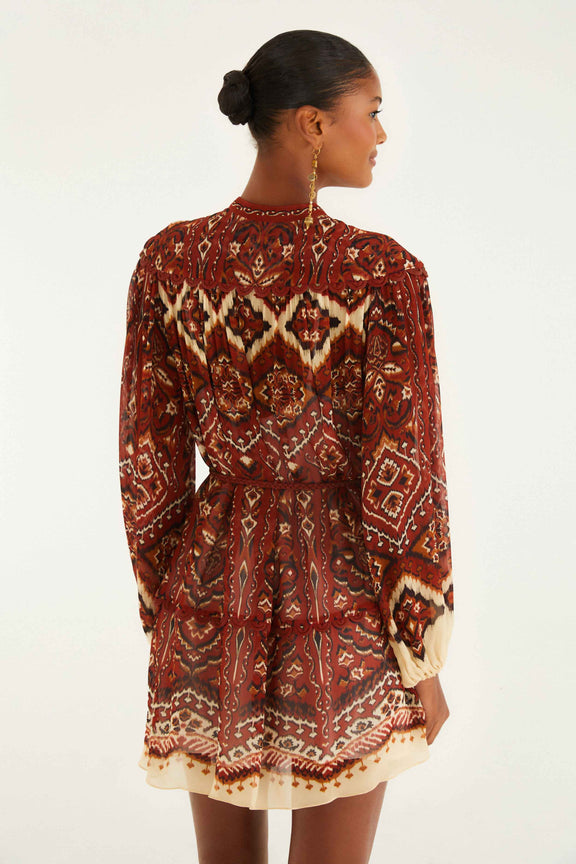 AINIKA TAPESTRY LS DRESS