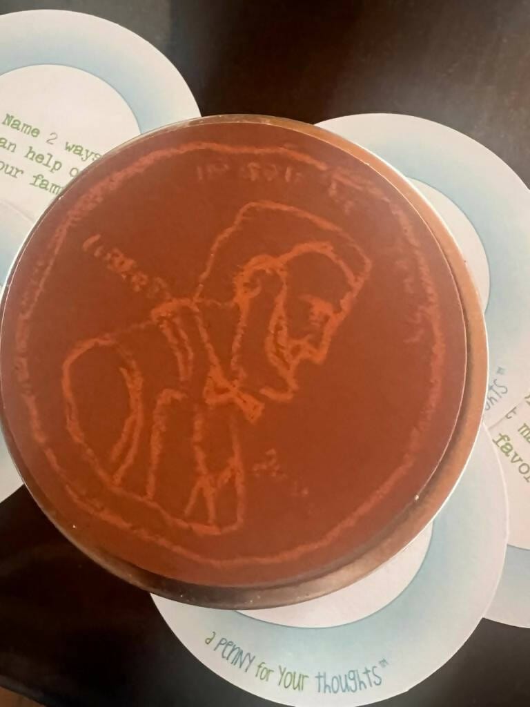 Road trip game for the littles! Fredericksburg Texas Store