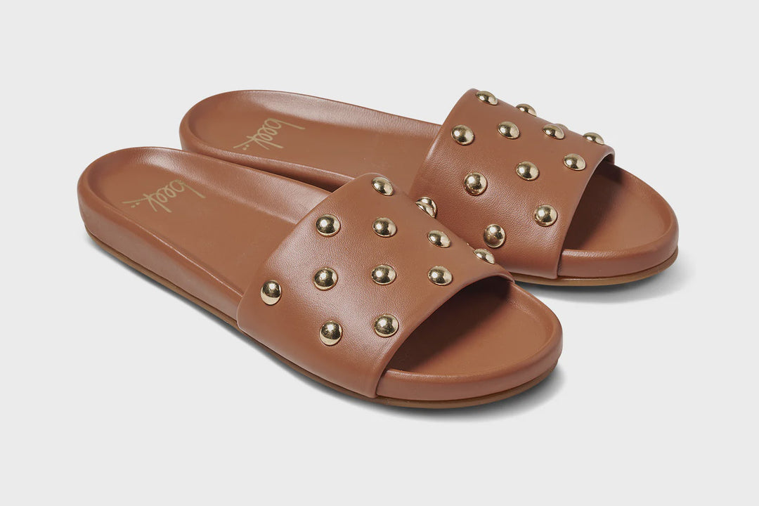 GALLITO STUD