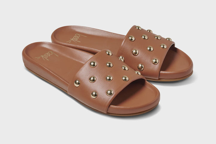 GALLITO STUD