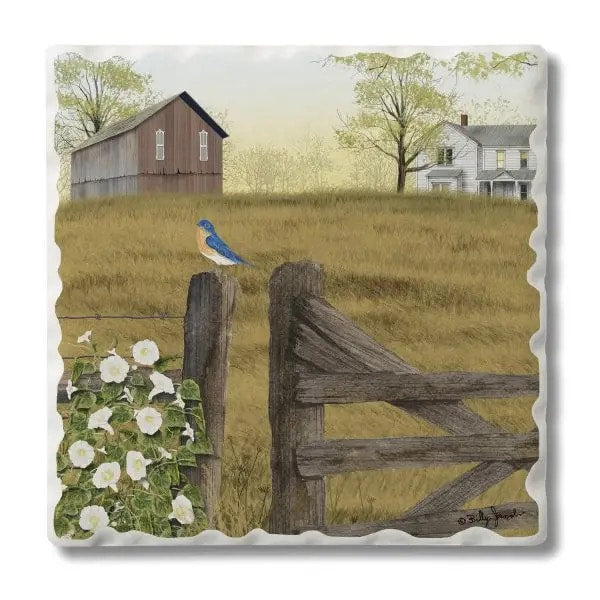 Morning's Glory Coaster - 4 Pack Hill Country Amish