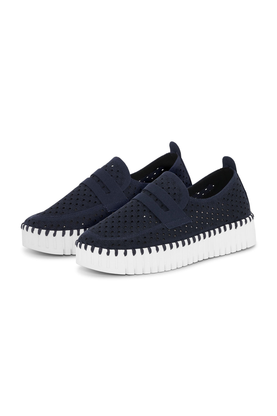 TULIP 3899 DARK INDIGO