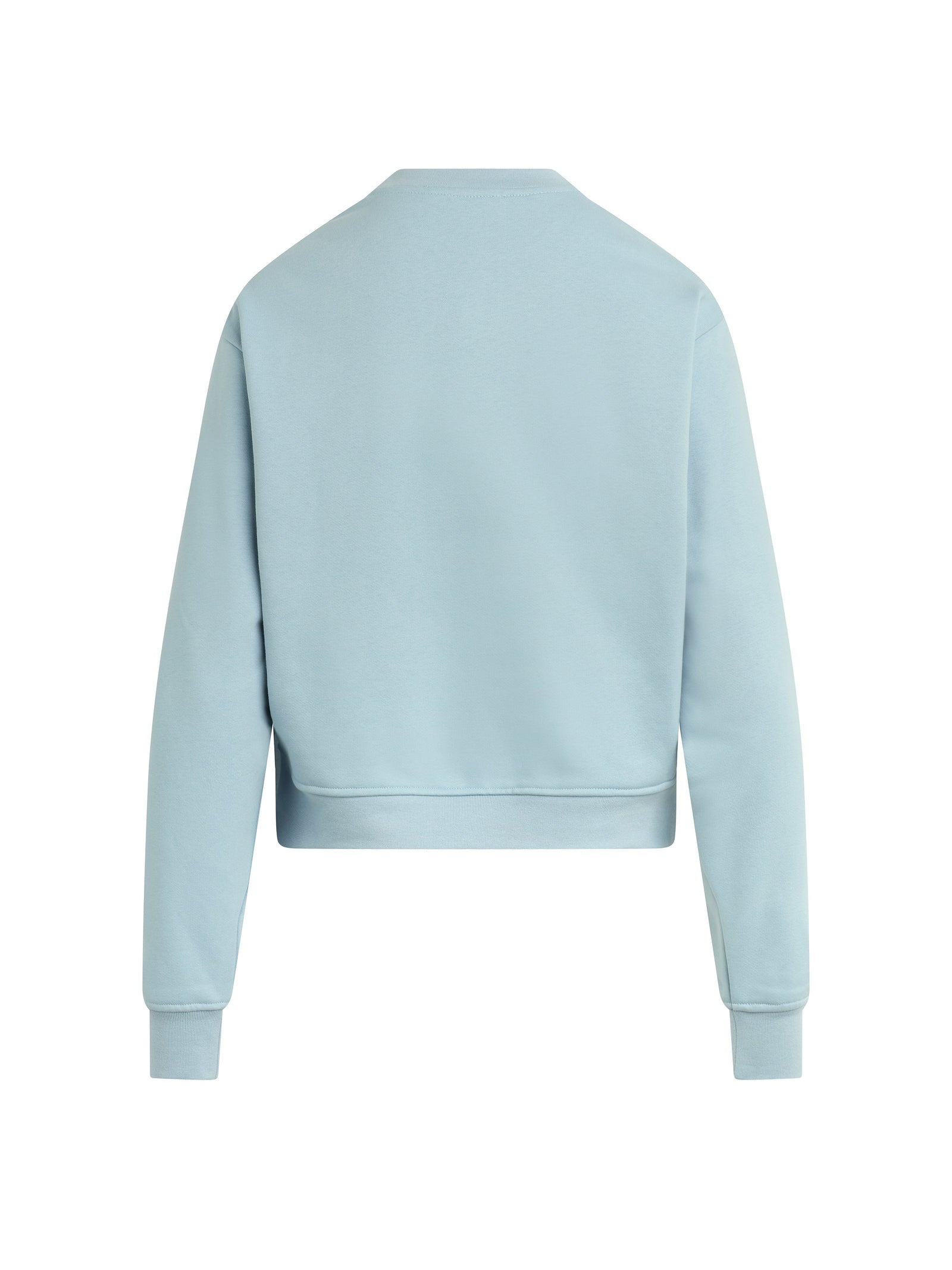 The Zertz COLLEGIATE CHEST CLASSIC SWEATSHIRT is a light blue, long-sleeved sweatshirt shown from the back. It features a crew neckline, ribbed cuffs and waistband, with a plain design and no visible patterns or logos.