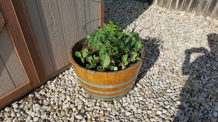 Planters - 1/2 Barrel