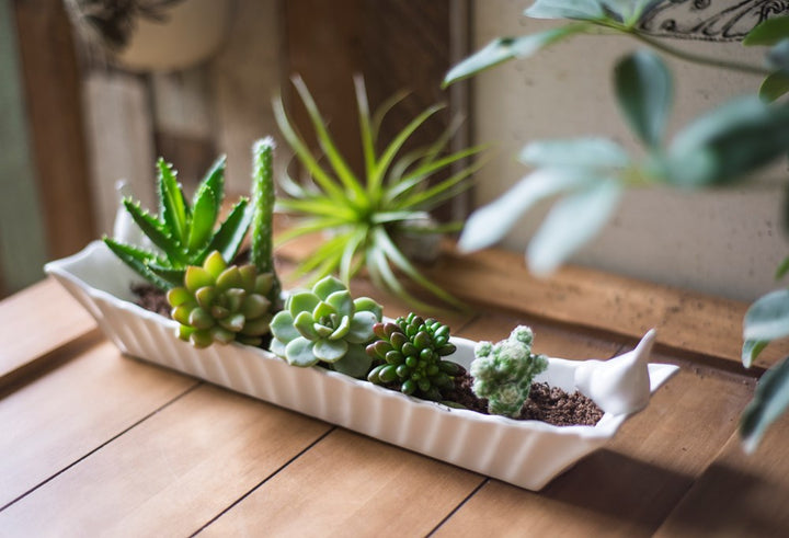 Ceramic Cracker Dish