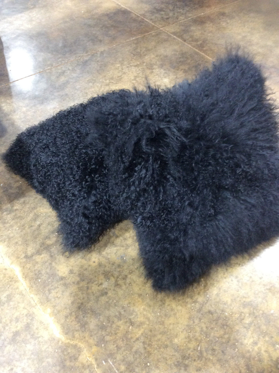 16" TIBETAN SHEEPSKIN PILLOW IN BLACK